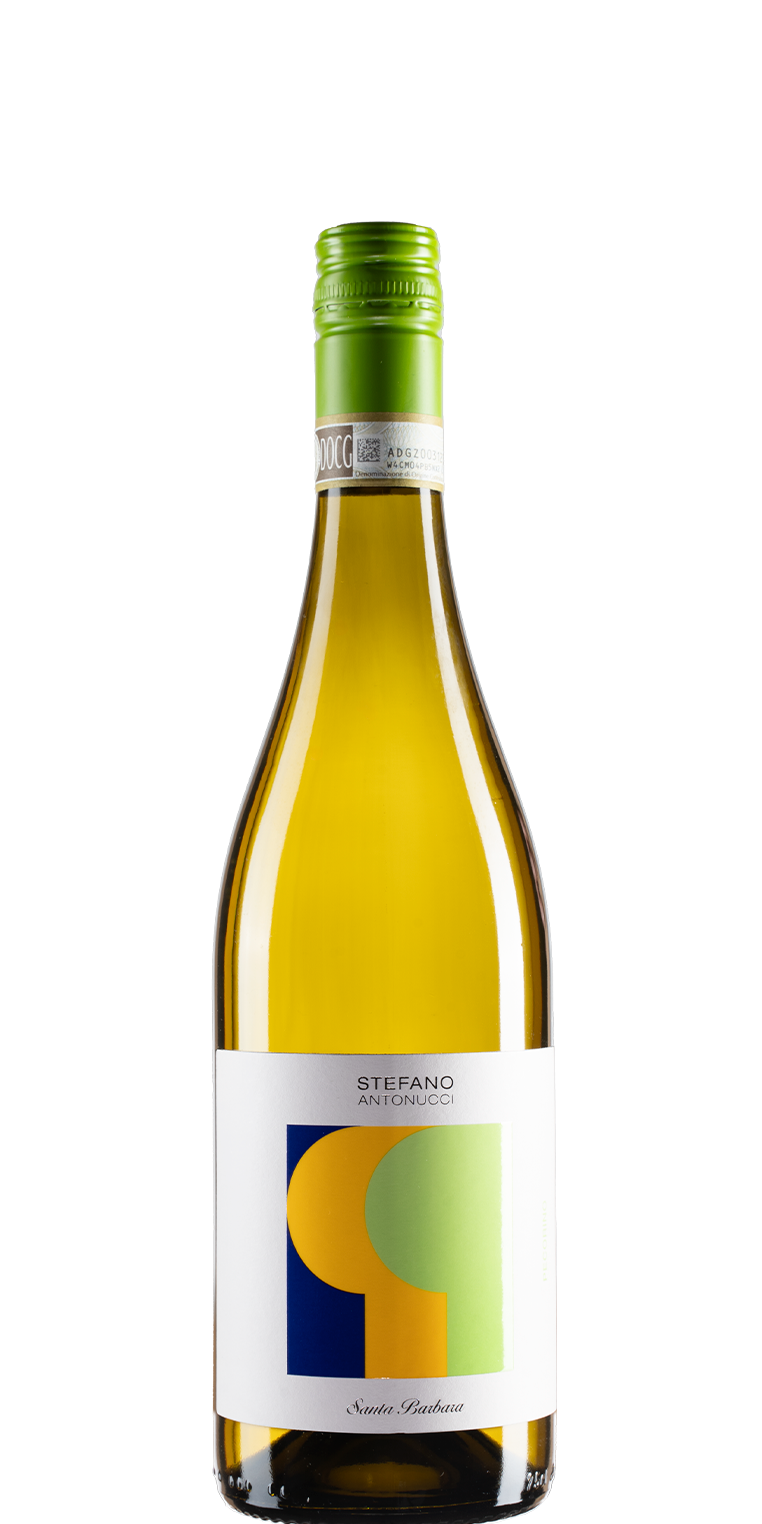 bottiglia di vino